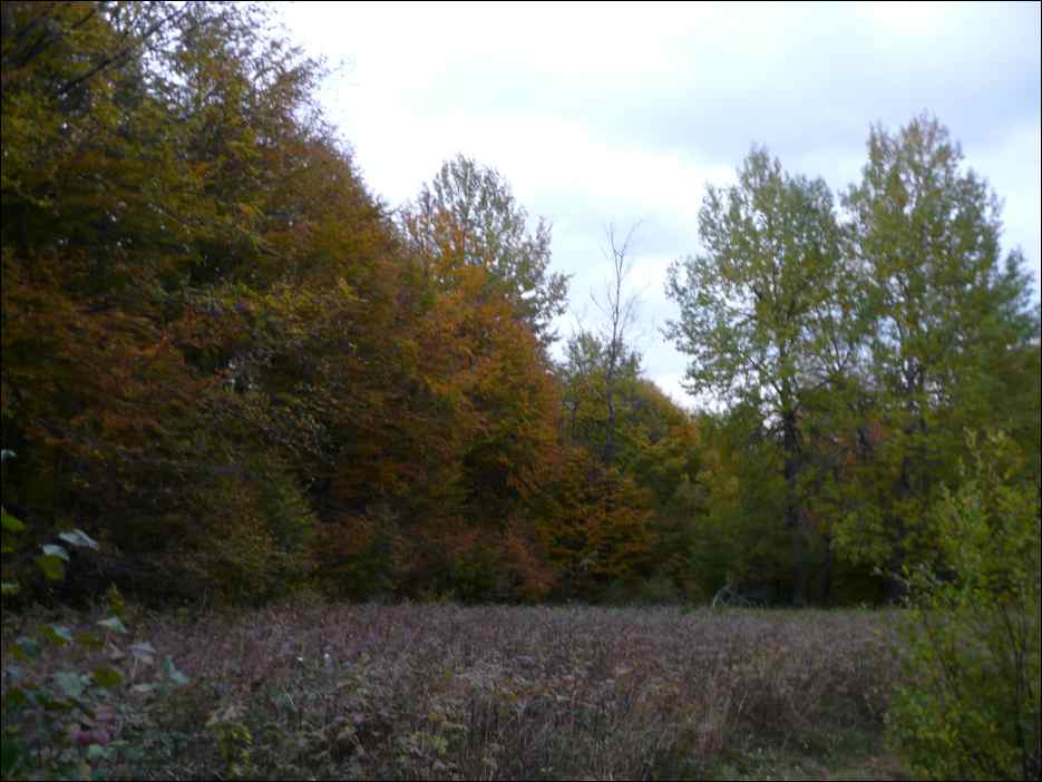 P1100637