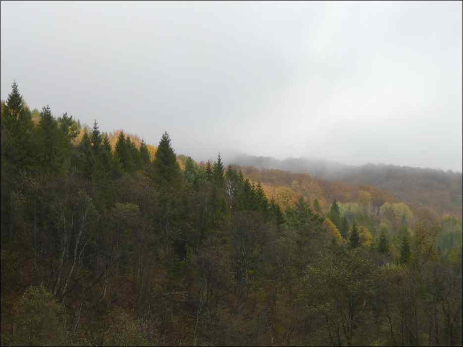 P1100649
