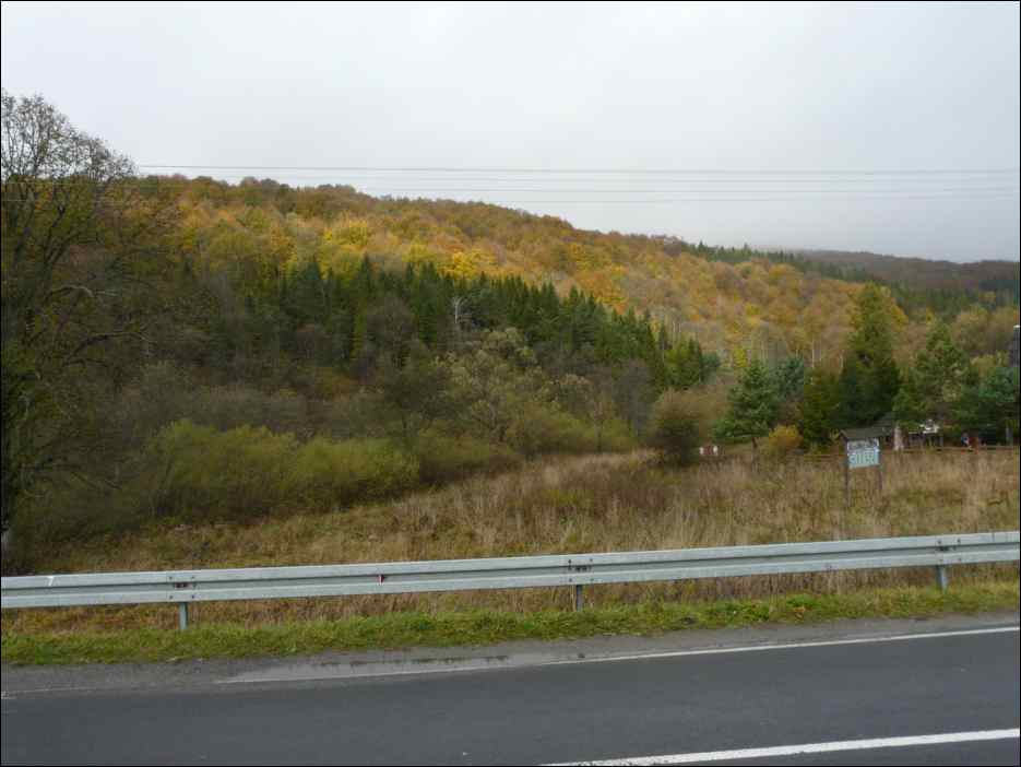 P1100654