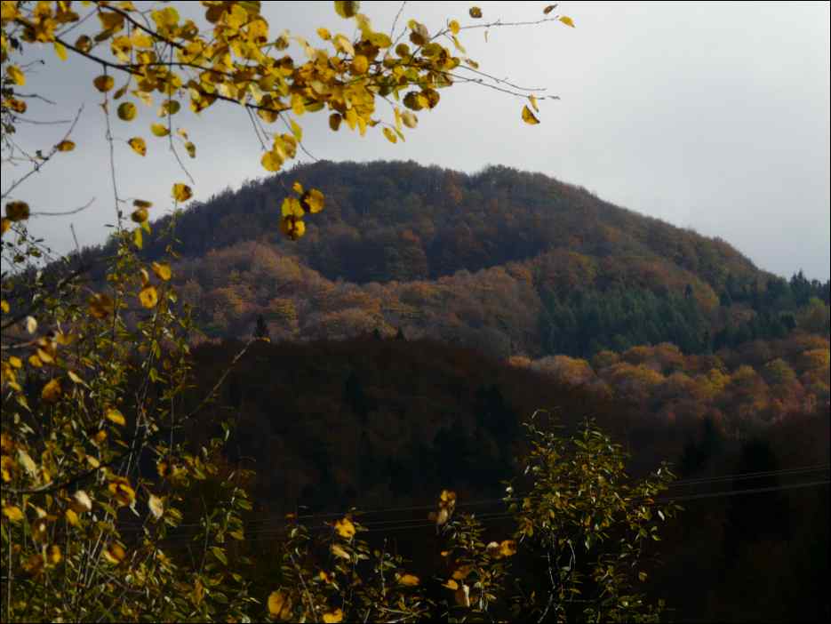 P1100669