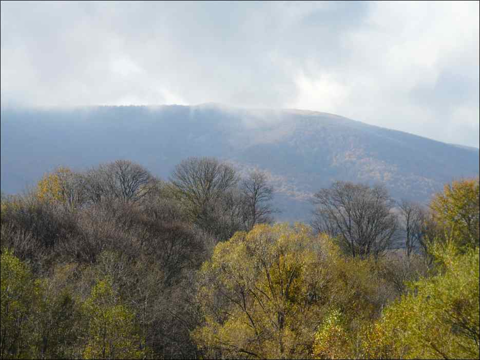 P1100672