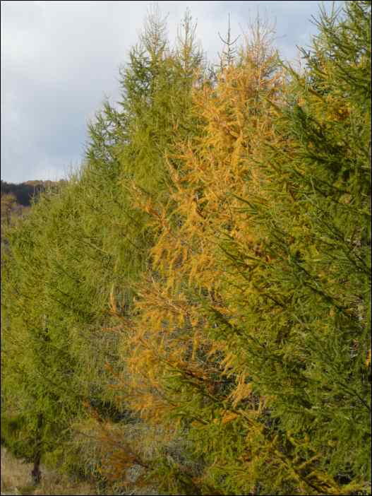 P1100675