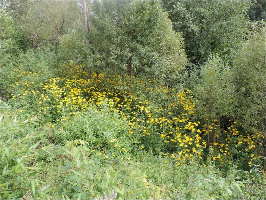 DSCN0027