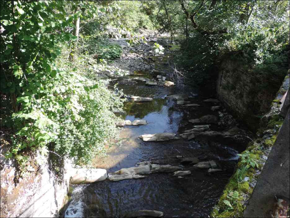DSCN0041