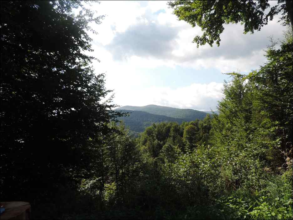 DSCN0042
