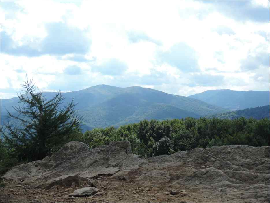 DSCN0053