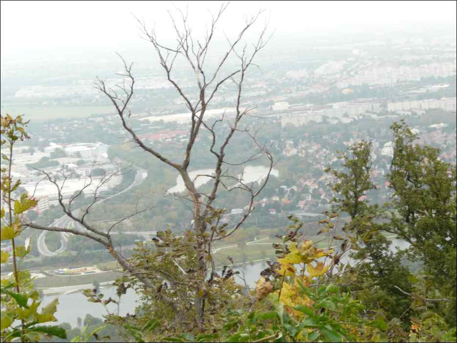 P1140077