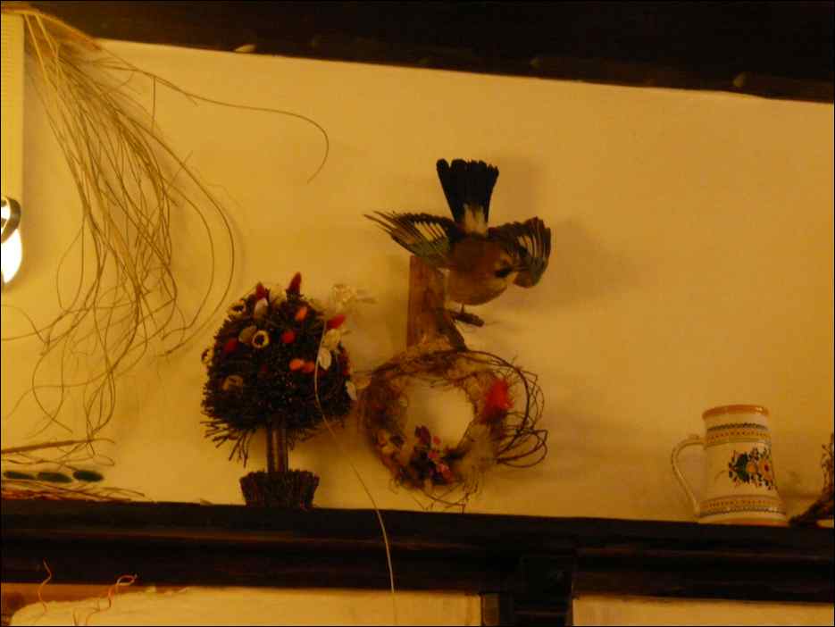 P1140177