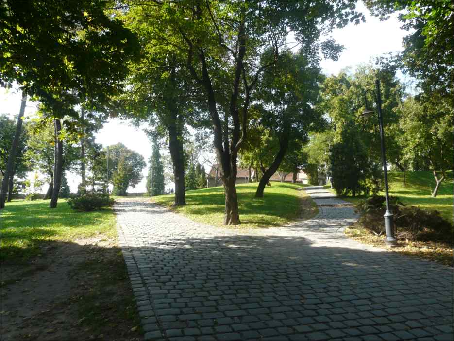 P1130184