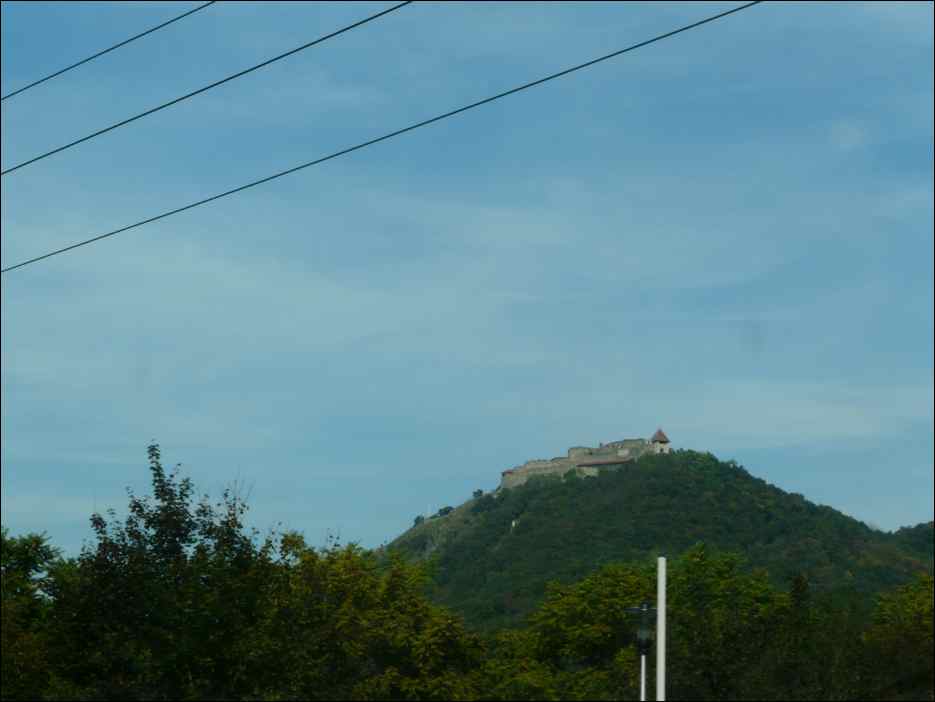 P1130219