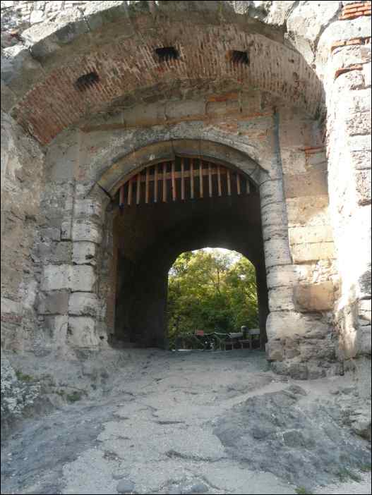 P1130223