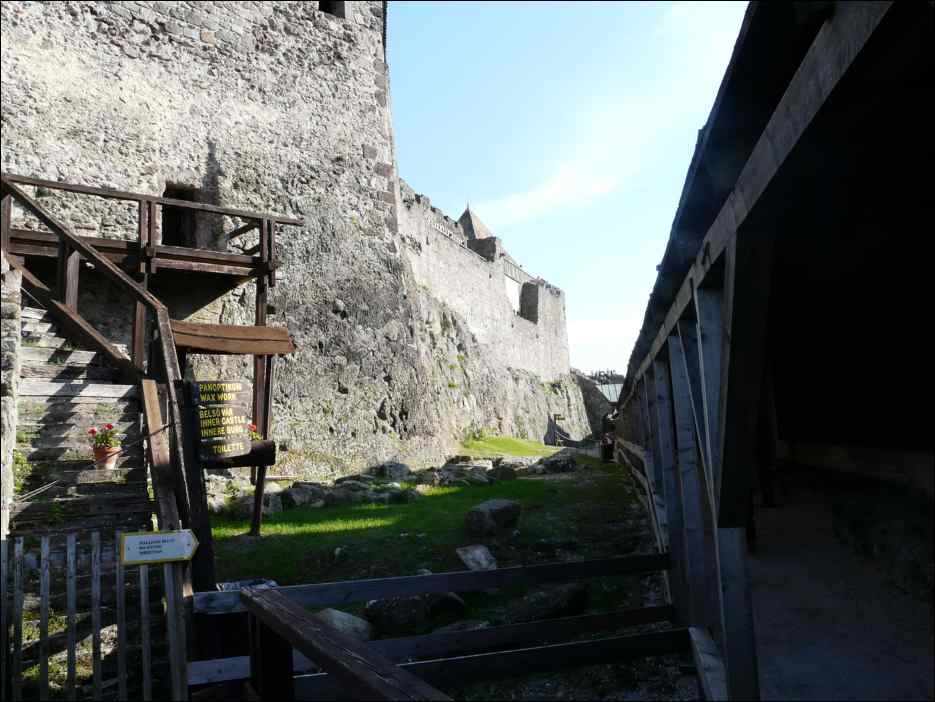 P1130239