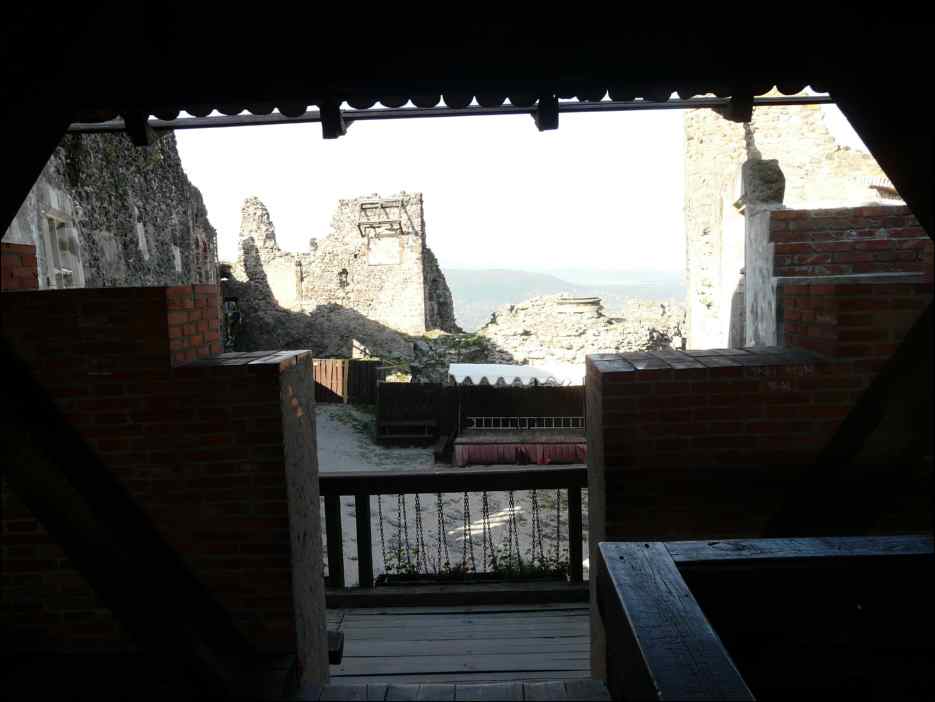 P1130245