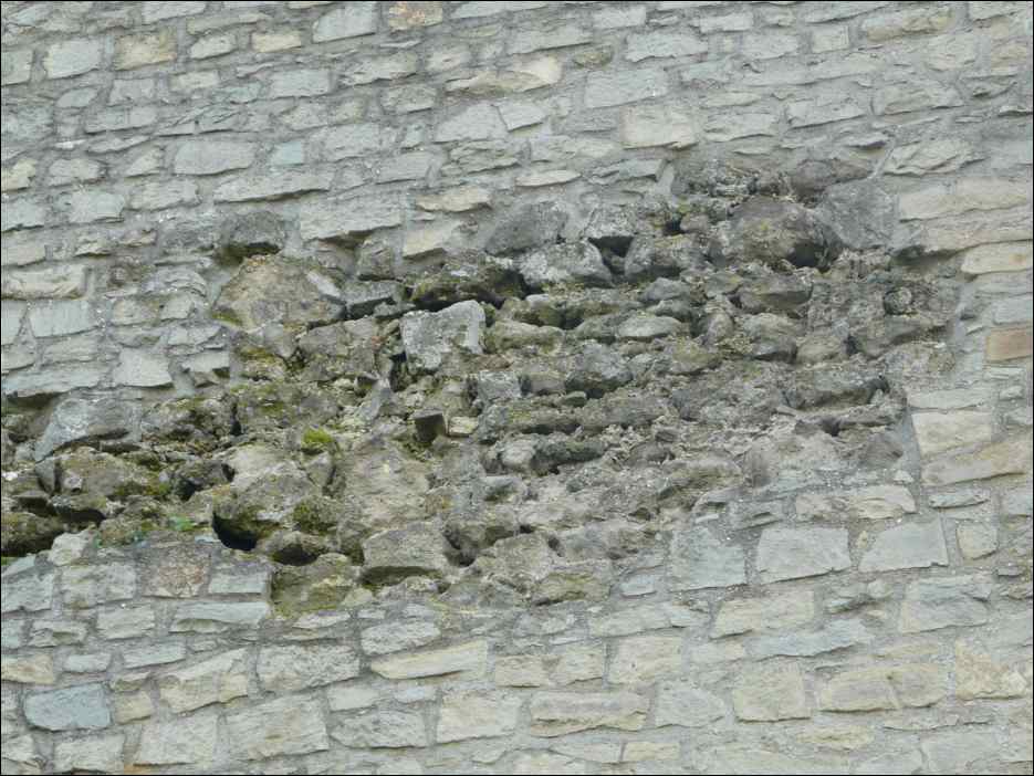 P1130256