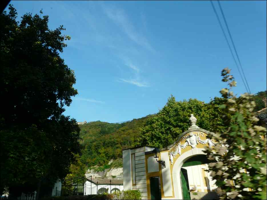 P1130259