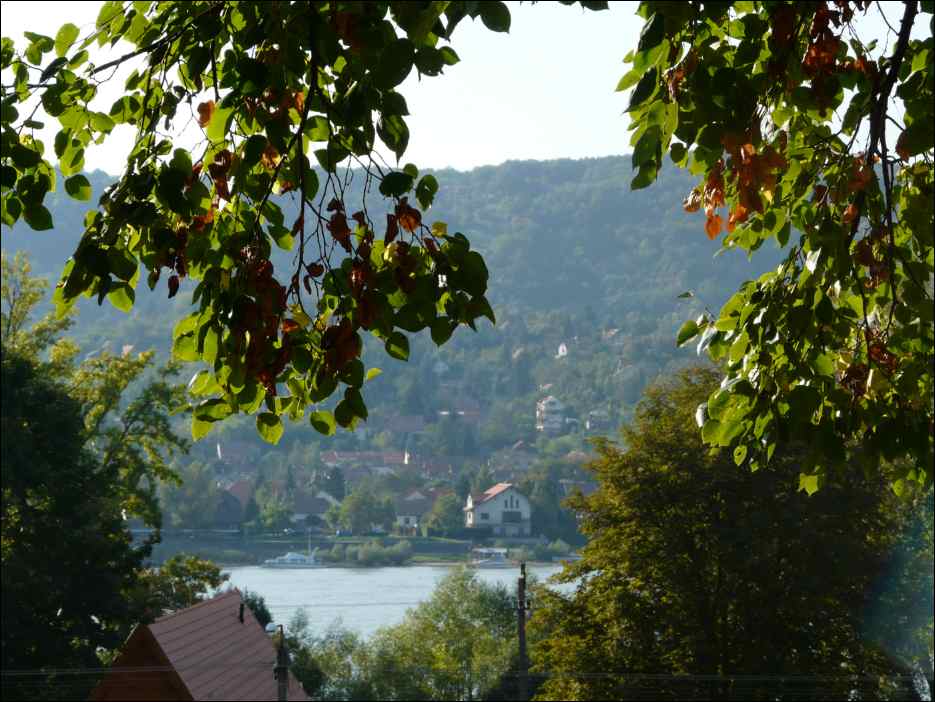 P1130284