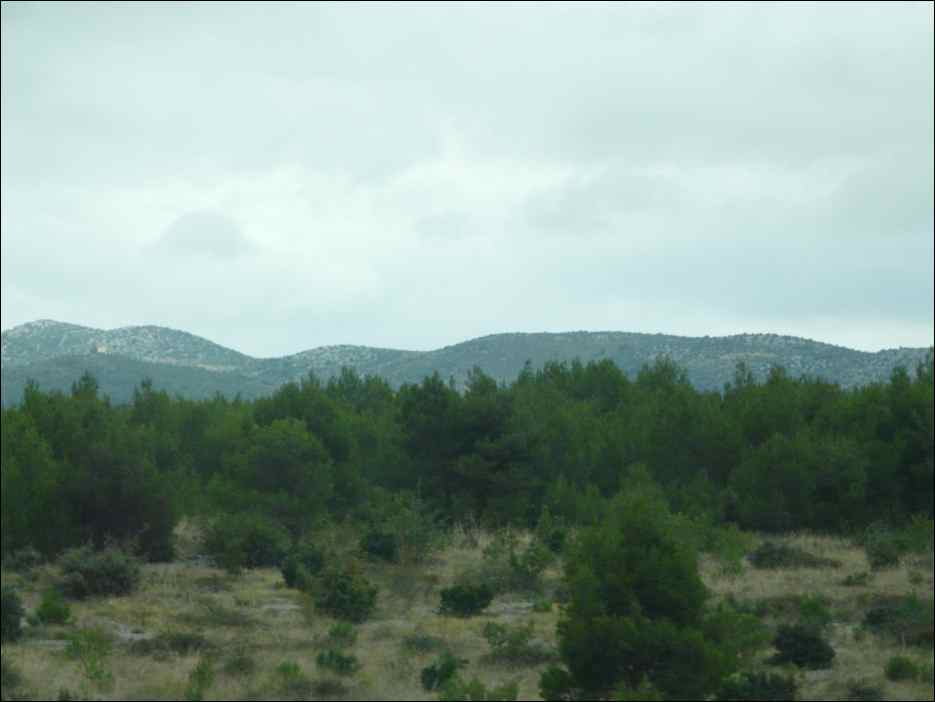 P1130343