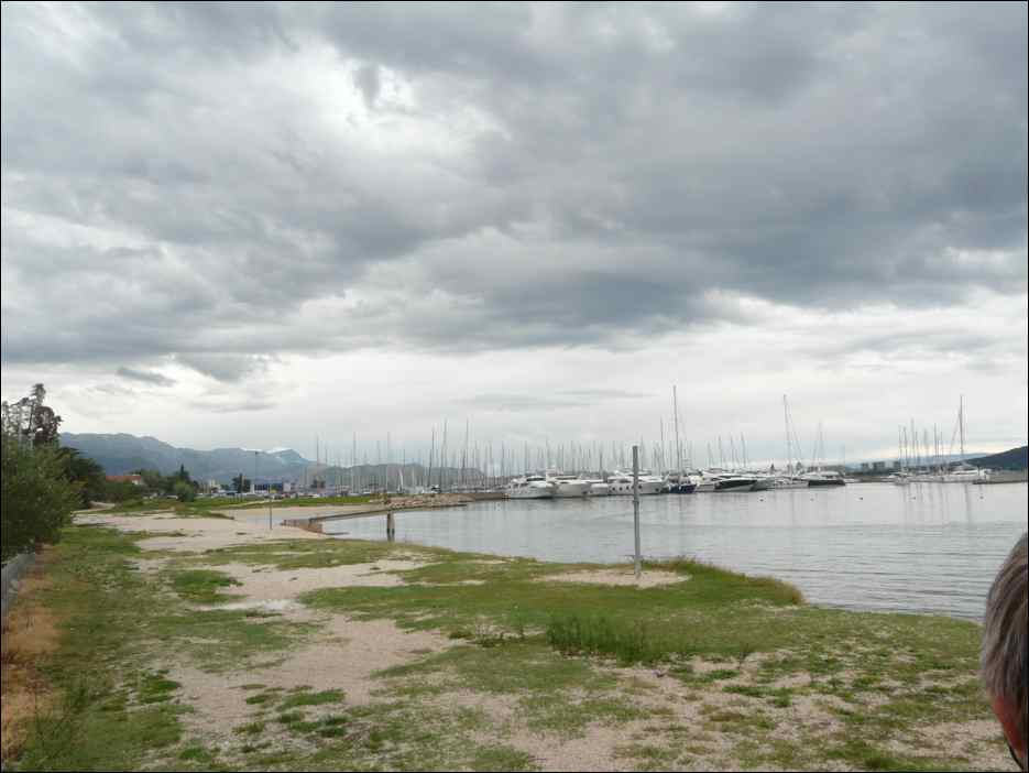P1130391