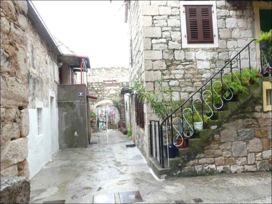 P1130411