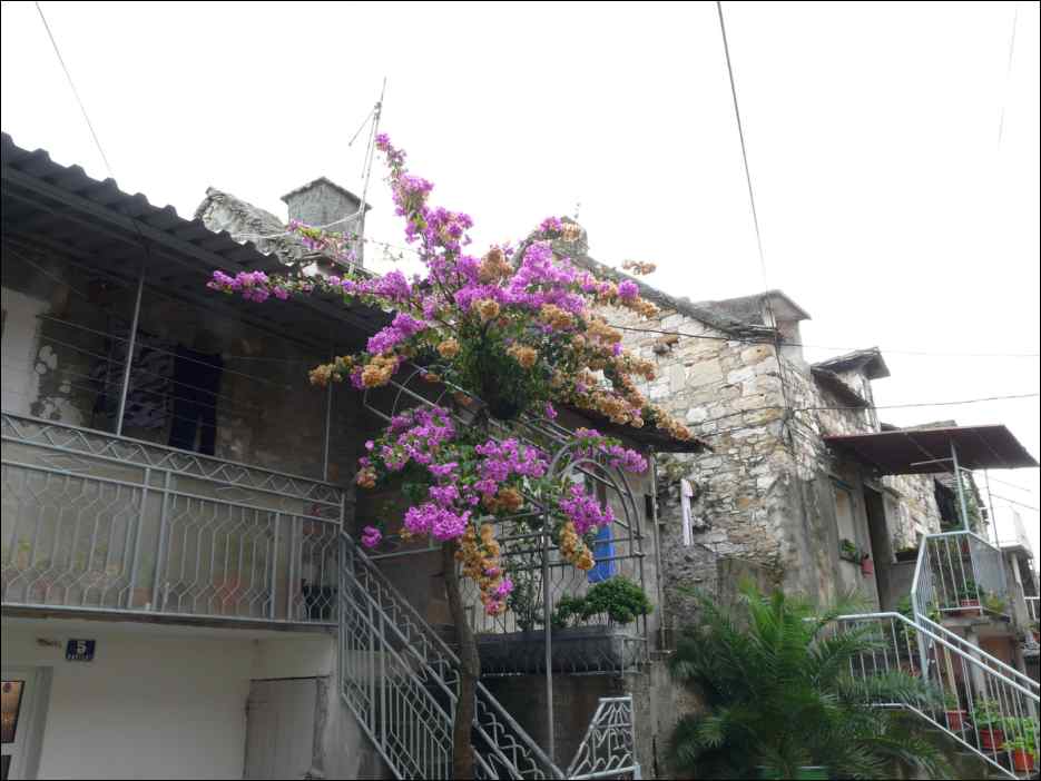 P1130423