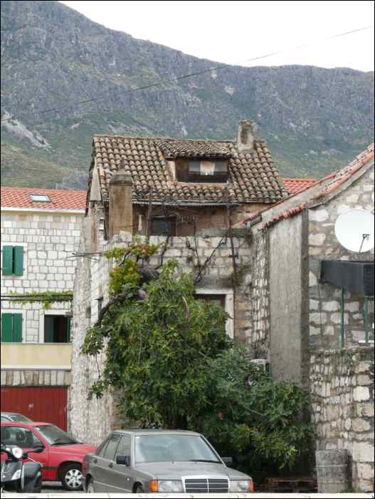 P1130436