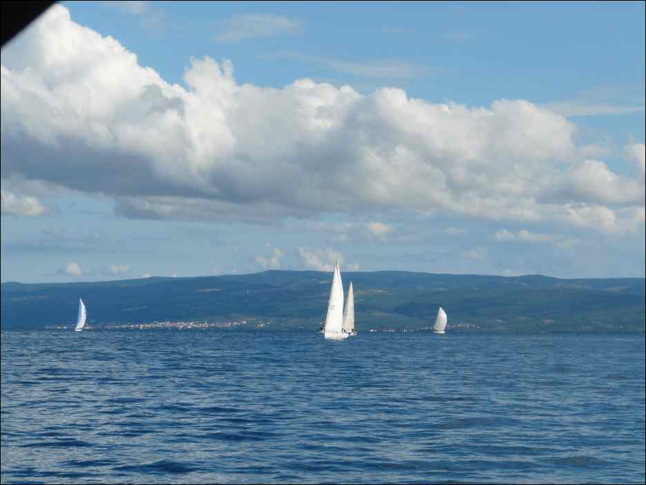 P1130523