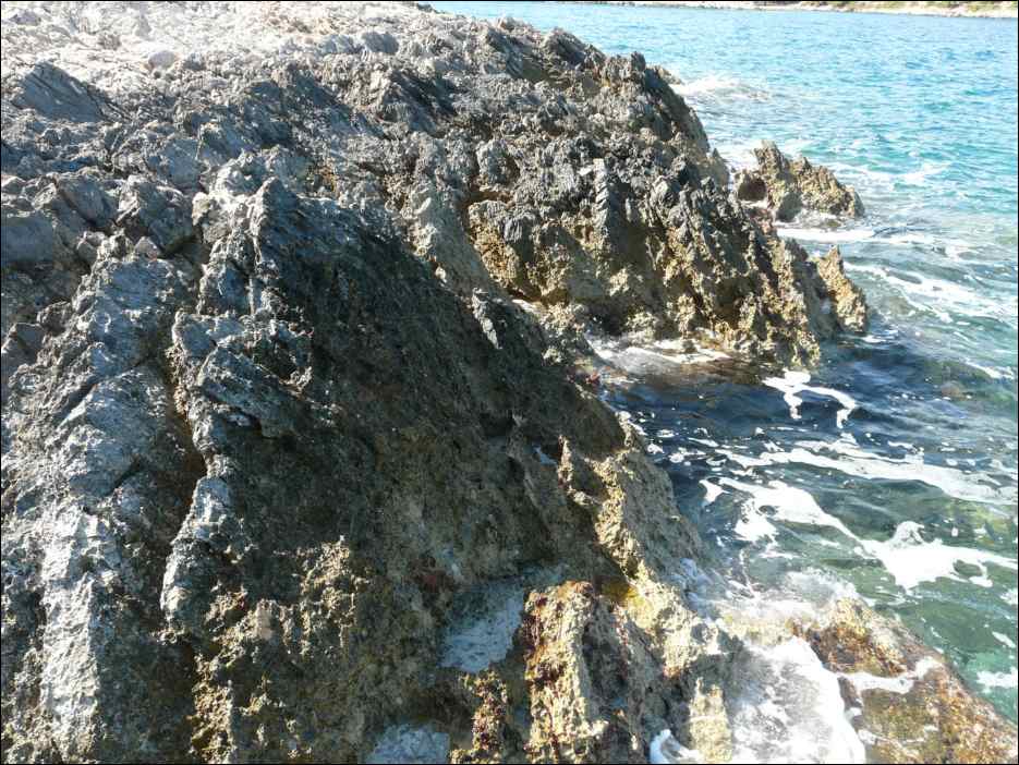P1130726