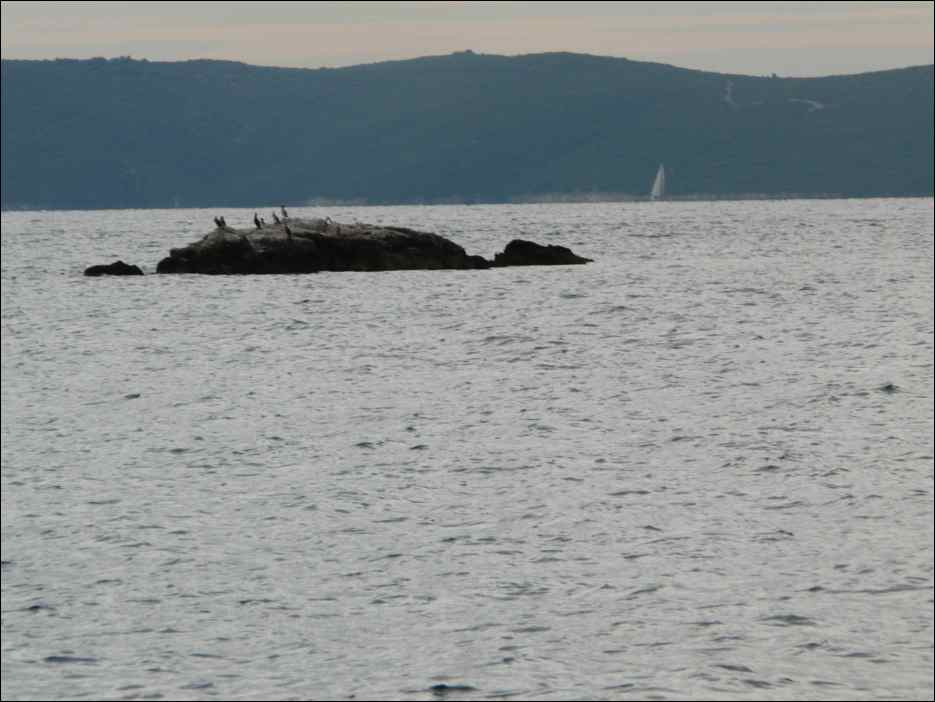 P1130841
