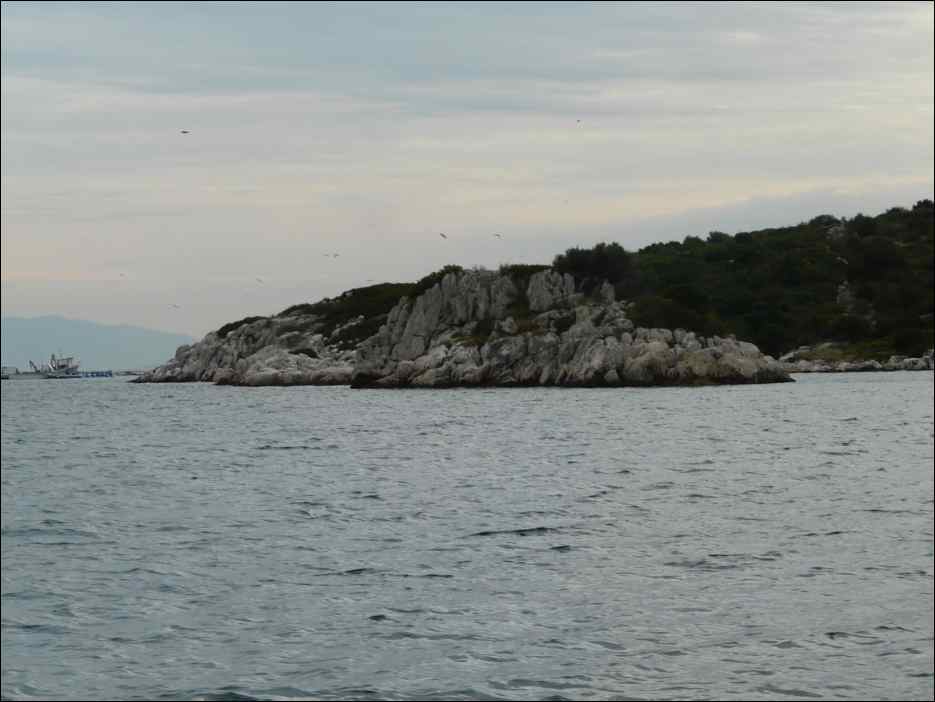 P1130848