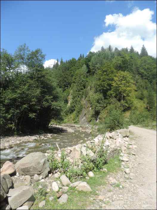 DSCN3667