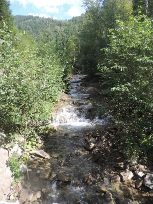 DSCN3668