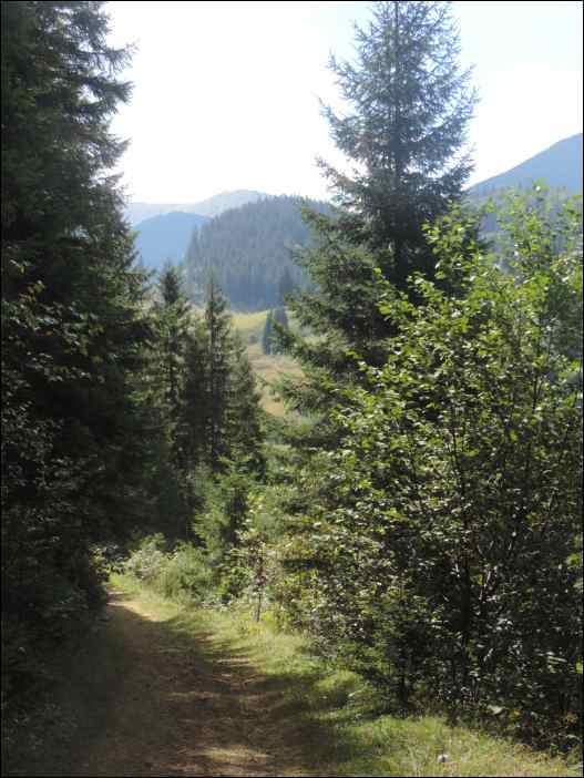 DSCN3675
