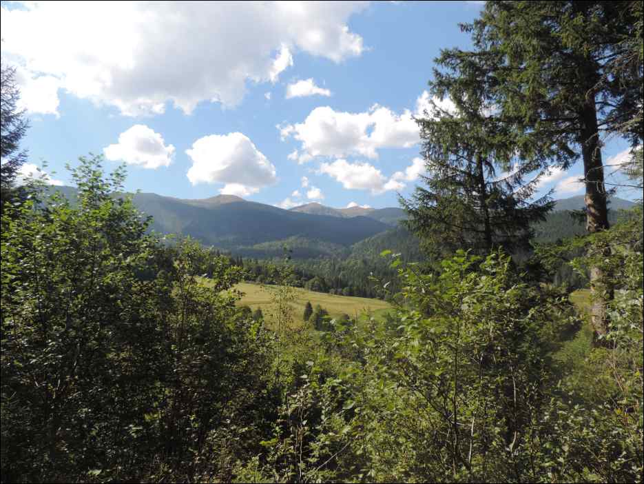 DSCN3676