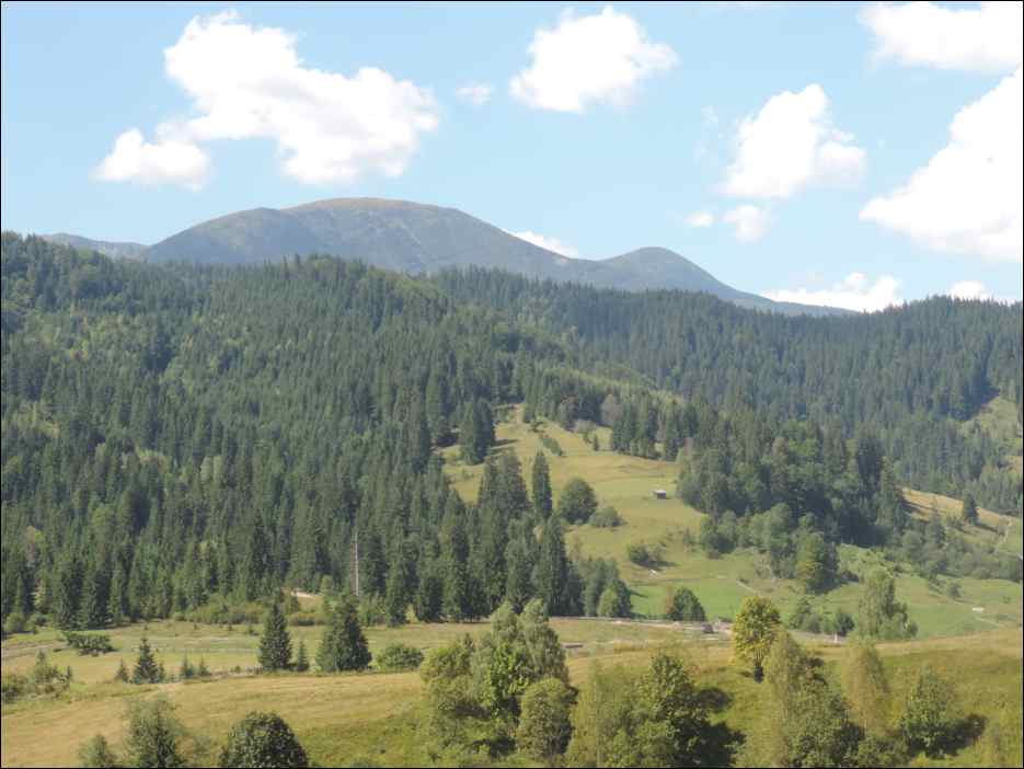 DSCN3677