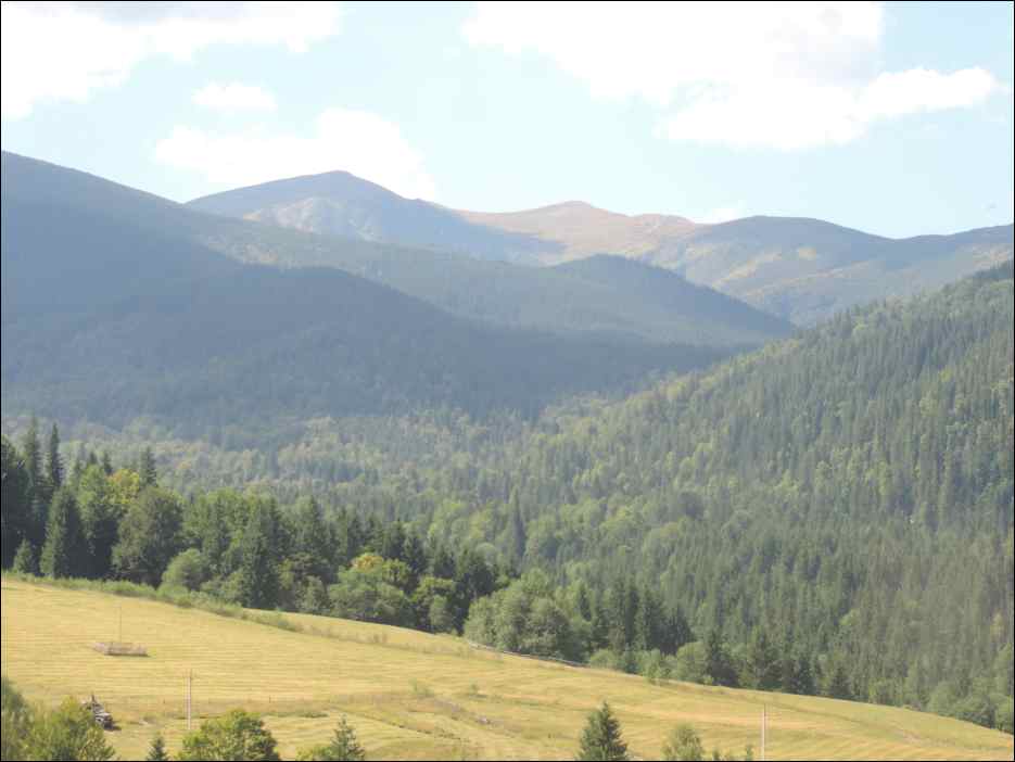 DSCN3679
