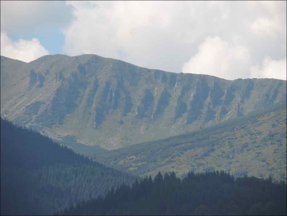 DSCN3695