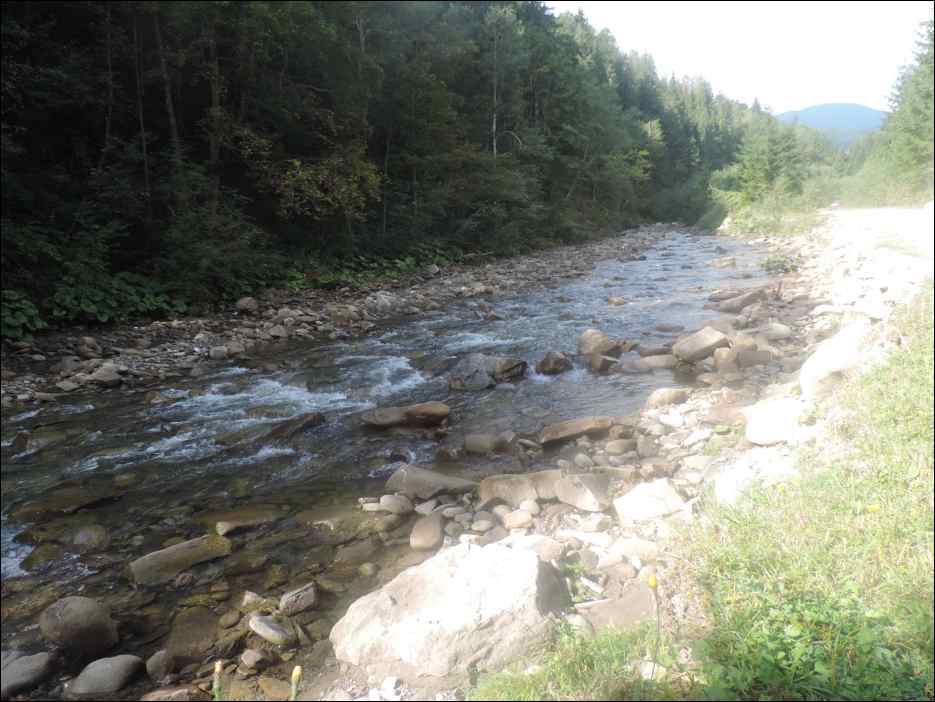 DSCN3726