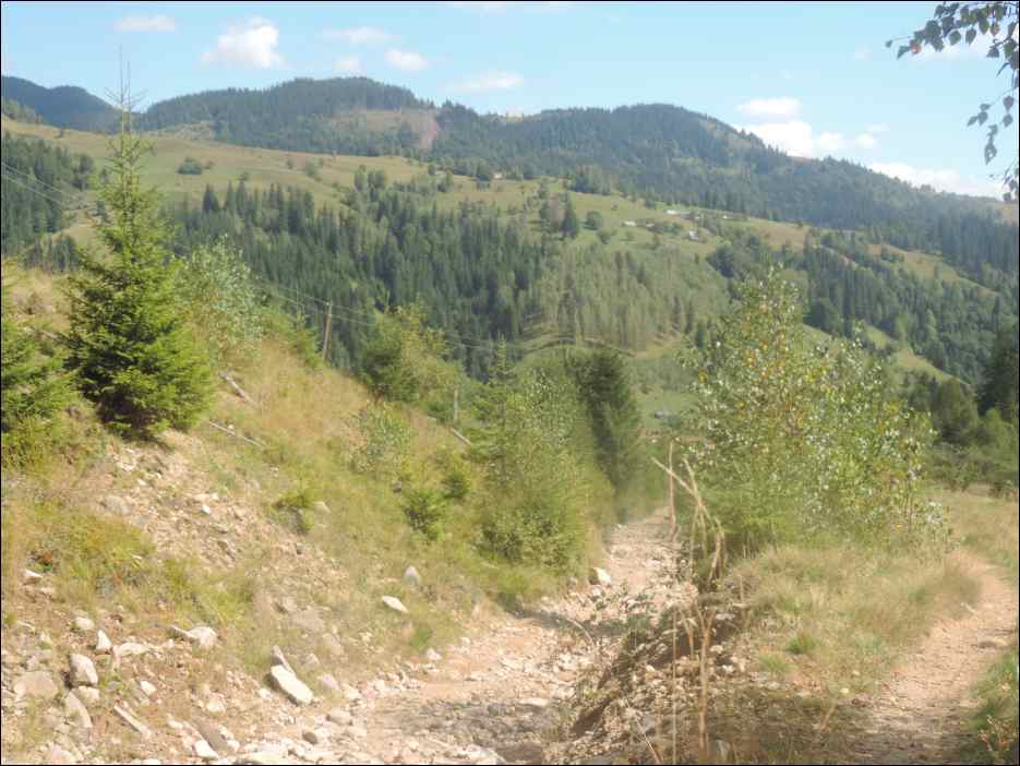 DSCN3735