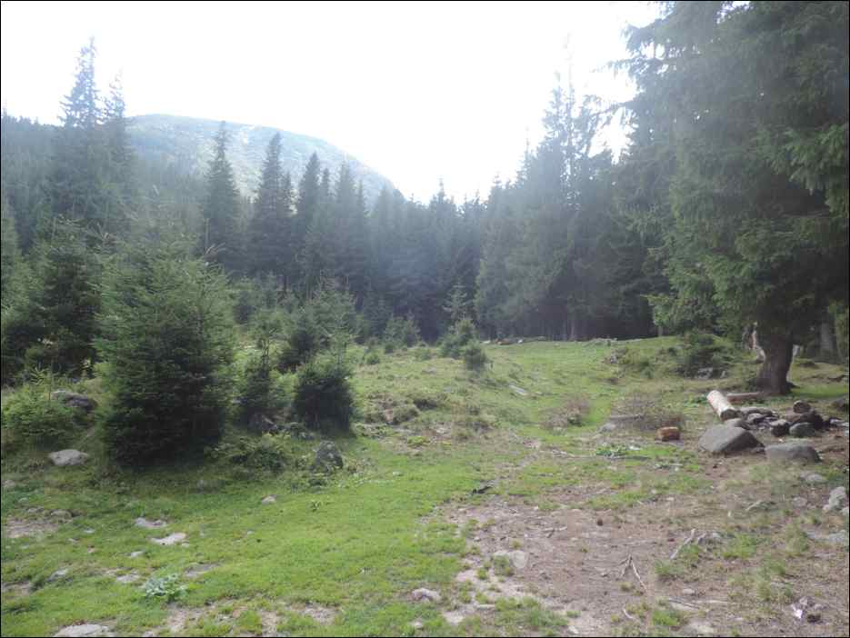 DSCN3755
