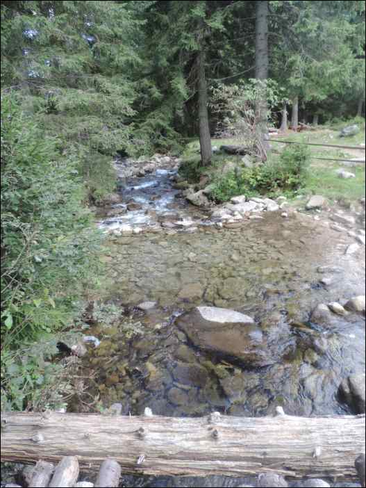 DSCN3757