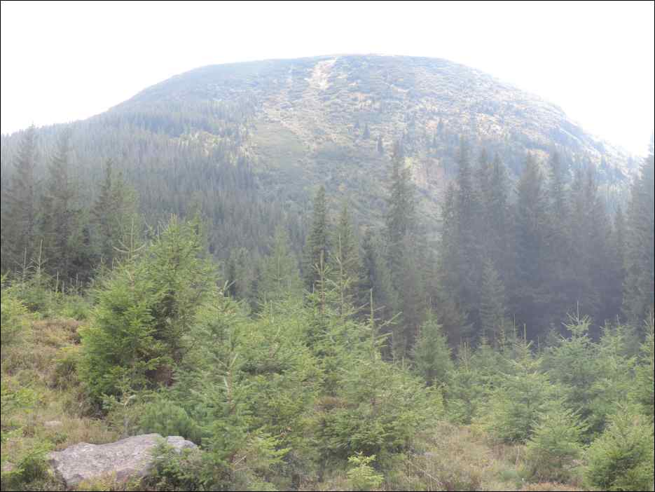 DSCN3761