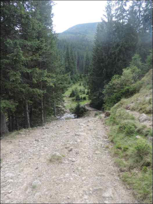 DSCN3765