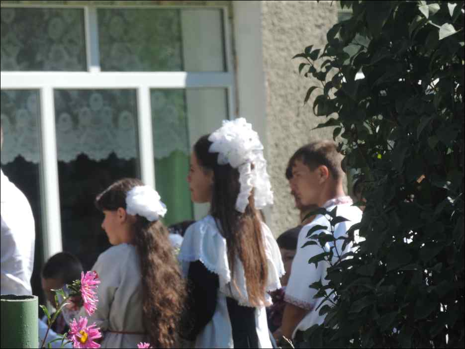 DSCN3773