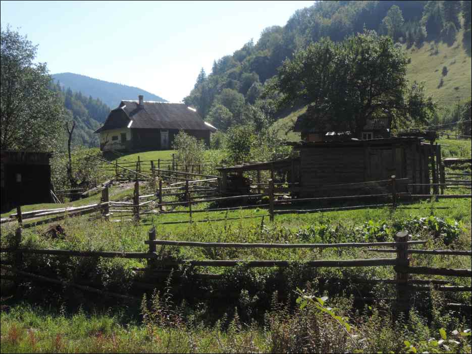 DSCN3783