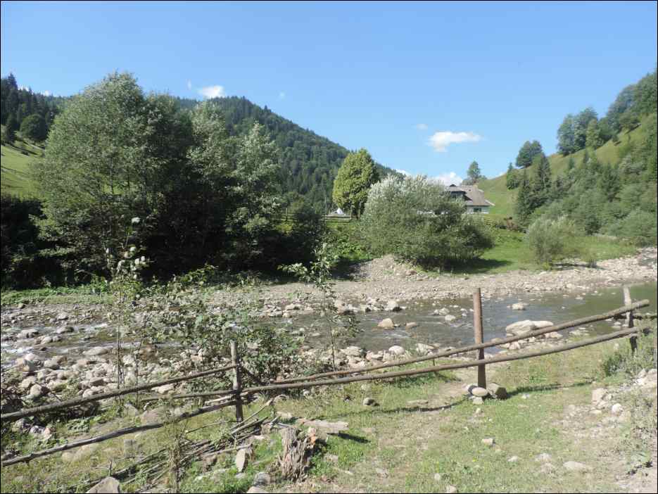 DSCN3784