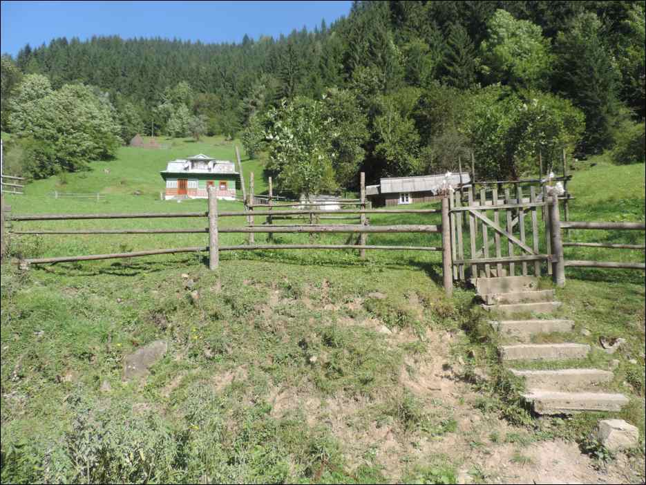 DSCN3792