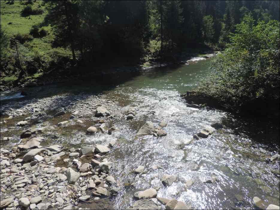 DSCN3798