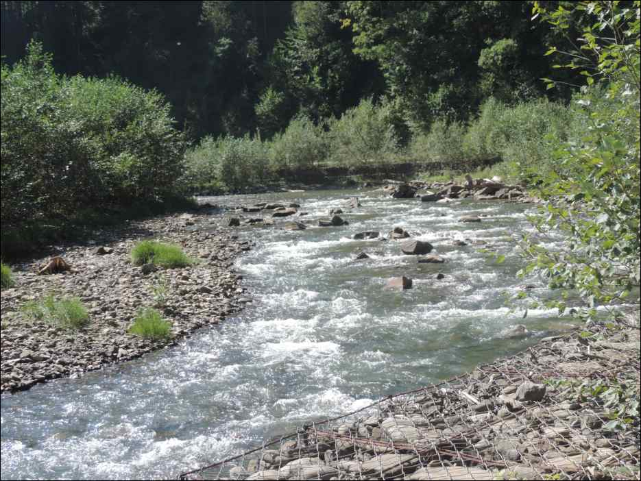 DSCN3809