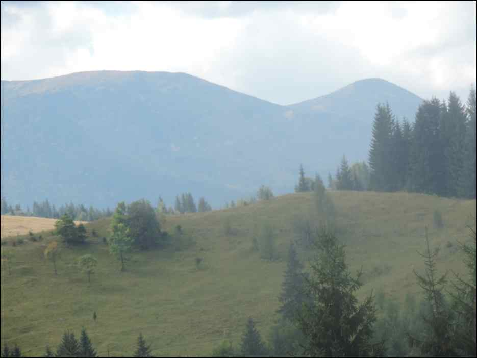 DSCN3828