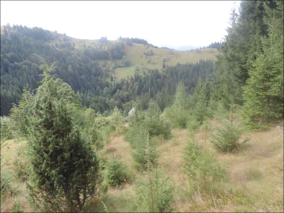DSCN3830